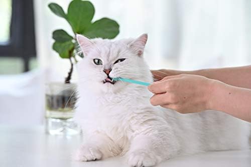 רך חתול מברשת שיניים עם 360-תואר ראש / בטוח, יעיל ועמוק לחיות מחמד שיניים ניקוי | מברשת משם רע נשימה